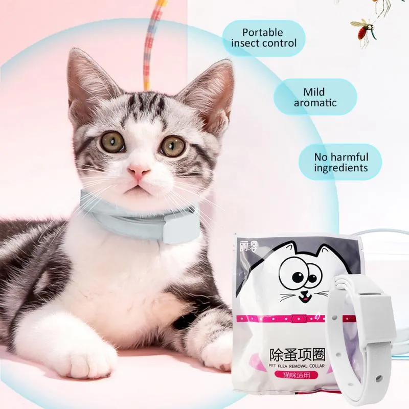 Pets at home cat flea collar hotsell
