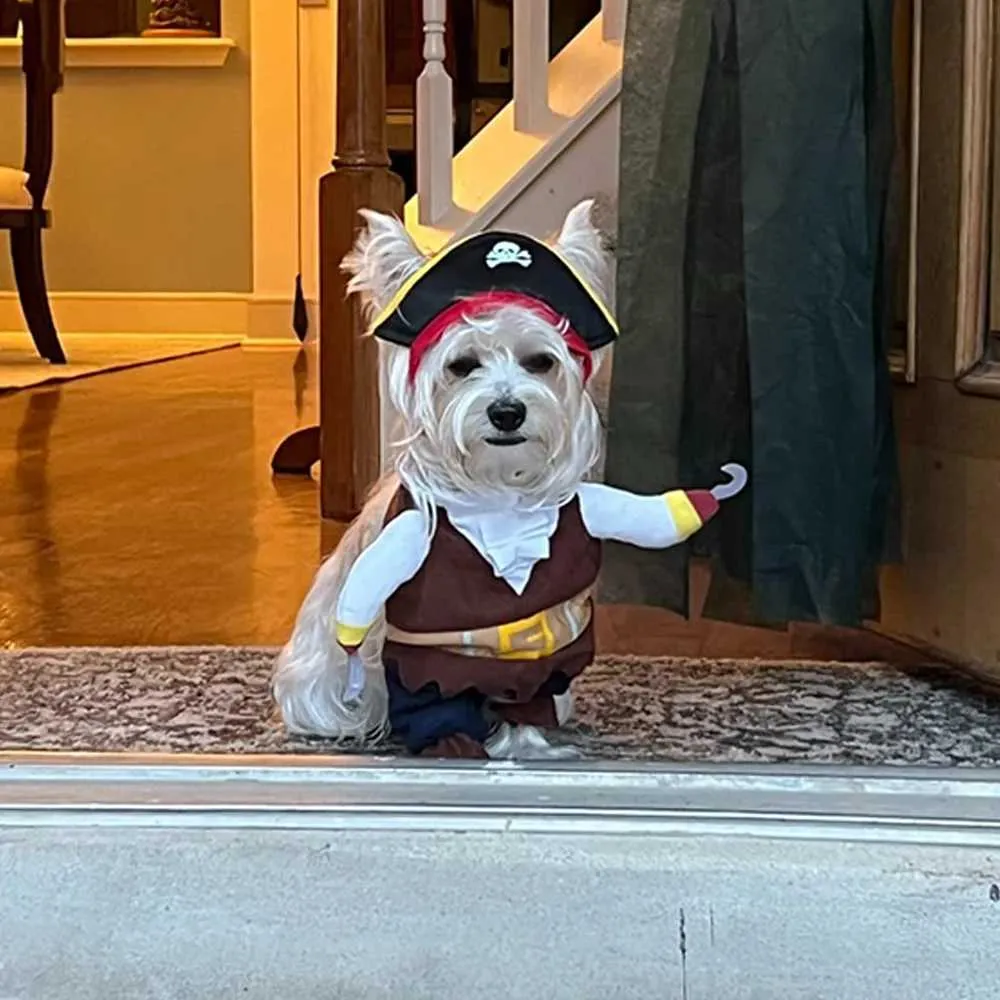 Small dog pirate costume online