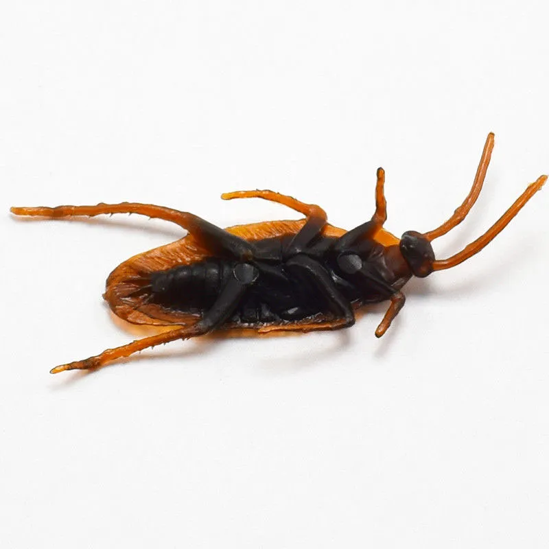 inspire vibrating tulip wand 12/Fake Roaches Rubber and Plastic Realistic Cockroach Toys for Halloween  Christmas Party from Dhgate Noisemaker Toys