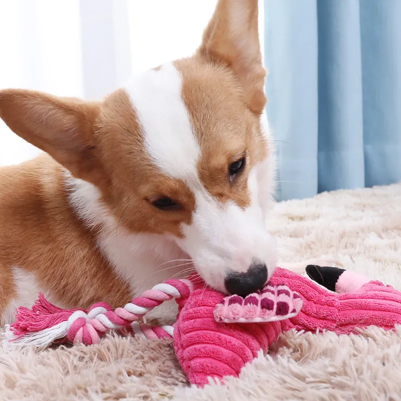 Cute Bite Resistant Plush Pink Dog Toys Animal Shape Squeaky Design For Small And Large Breeds Perfect Pet Accessory From Petchains 2.91 DHgate.Com