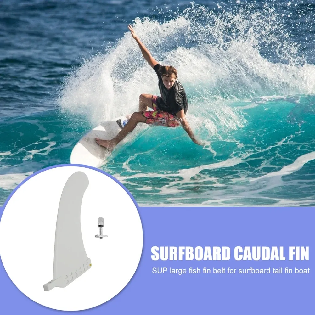 Large fish surfboard shop