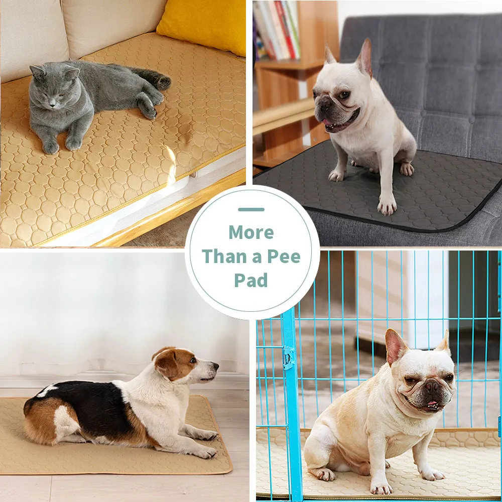 Small dog pee pads 2025