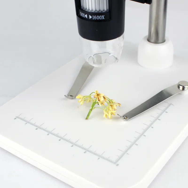 Handheld USB Microscope Stand - Adjustable Height Mini Microscope ...