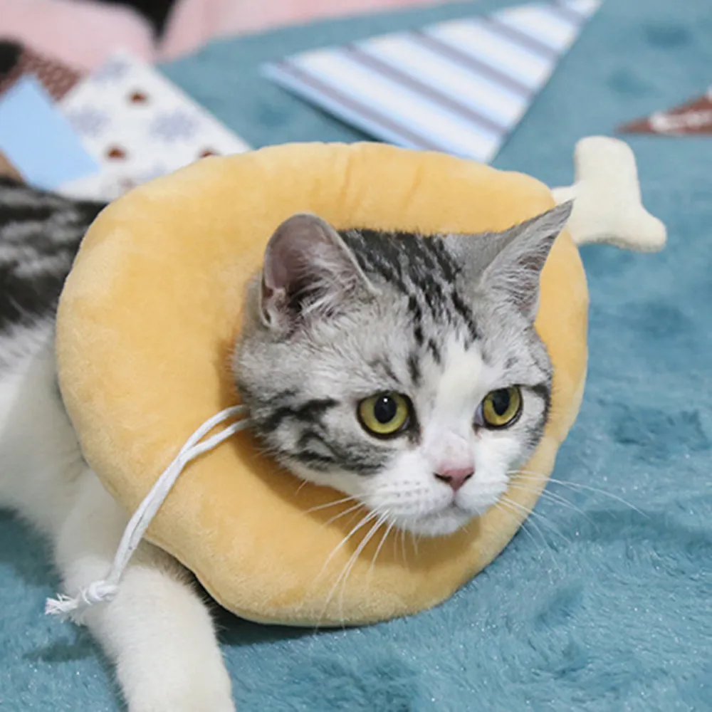 Kawaii Avocado Toast Collar For Cats Protection Near Me And Dogs Adjustable Bite Preventative And Lick Resistant With Neck Ring From Quanyuanfacai 11.78 DHgate.Com