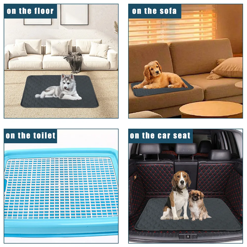 Wagtastic puppy pads online