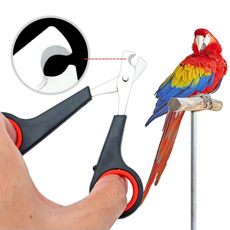 Curated visual reference: Gallery Detail: Precision Pet Nail Clipper Safe Easy Animal Nail Trimmer For