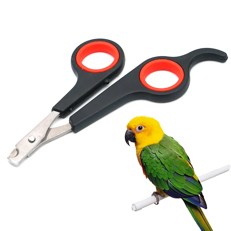 Small Pet Grooming Tool Parrot Nail Scissor Trimmer And Clipper For Birds And Coati Animal From Homepro12 4.04 DHgate.Com