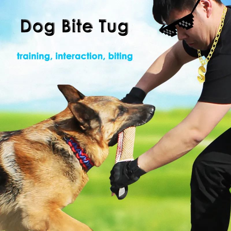 Taie D'oreiller Belgian Malinois – Chien, Mordant, Déco Fun
