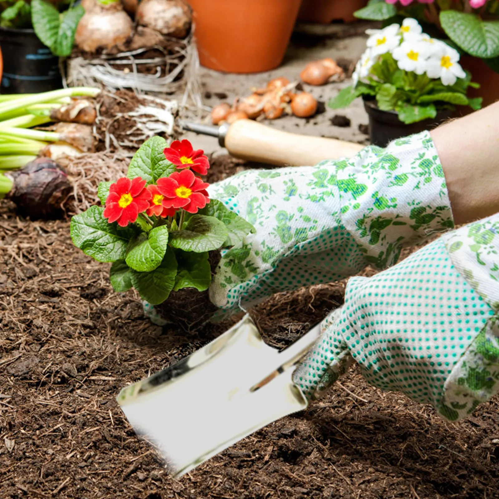 Mini Juego De Herramientas De Jardín De 3 Piezas: Palas Compactos Duraderas  Para Plantación, Jardinería Interior De Bonsai De 8,86 € | DHgate, image size:1600x1600