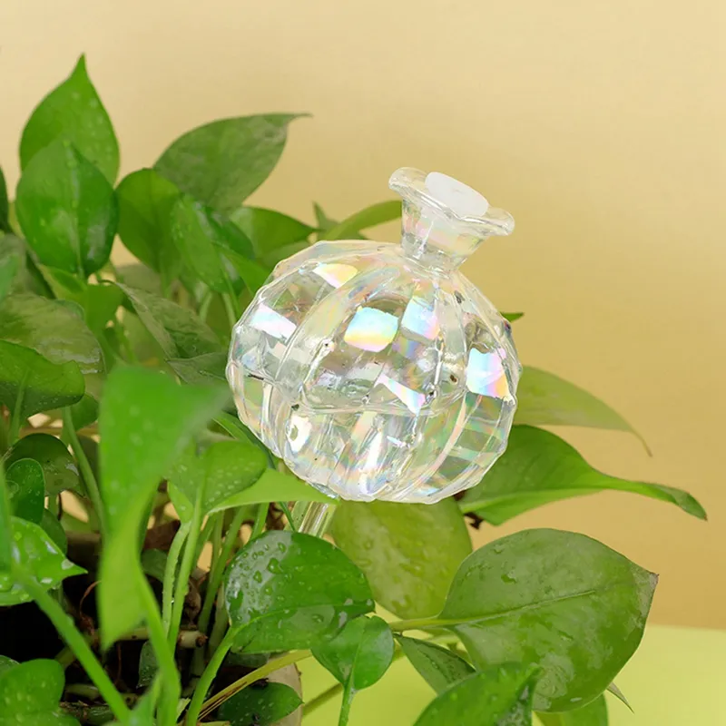 Automatic Self Watering Glass Plant Bulbs ... From Ddmyjul, $47.08 |  DHgate.Com