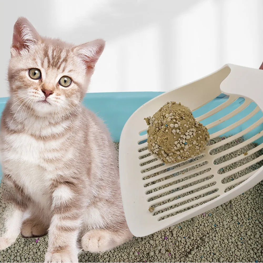 Shovel for cat litter deals