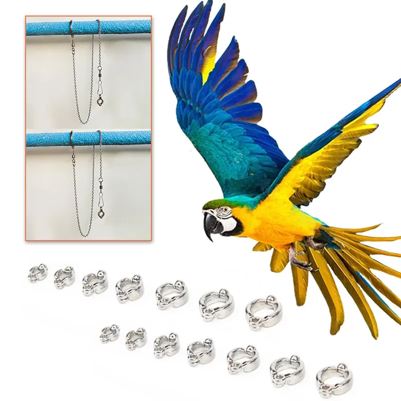 Parrot leg leash shop