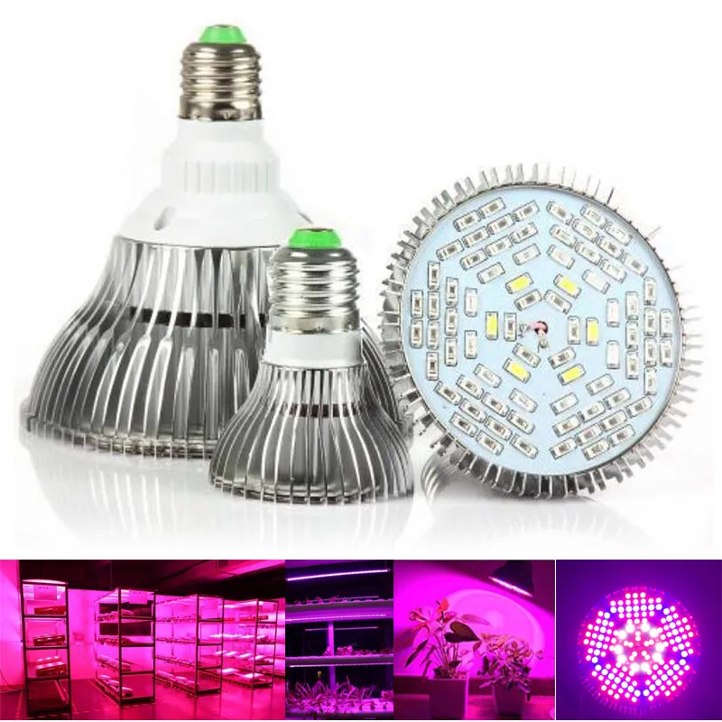 Full Spectrum LED Plant Grow Light Bulb E27 Base UV IR for Indoor  Hydroponic Greenhouse from Dhgate Grow Lights - price 20.54