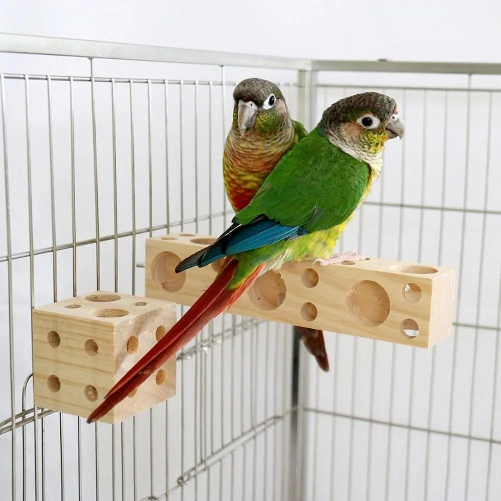 Unique bird toys best sale