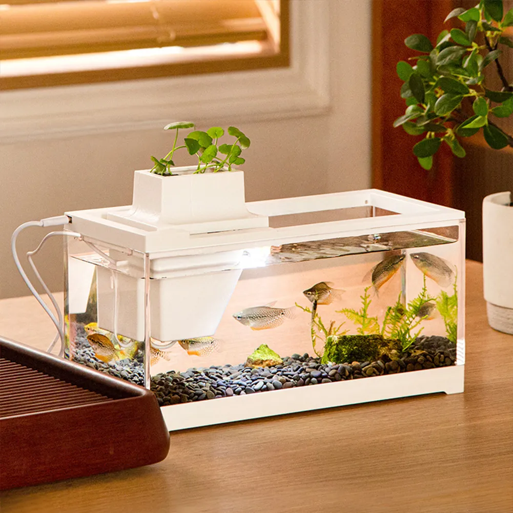 Quiet Office Aquarium Fish With Low Maintenance Reference: Mini Desktop Fish Tank With Heater Filter