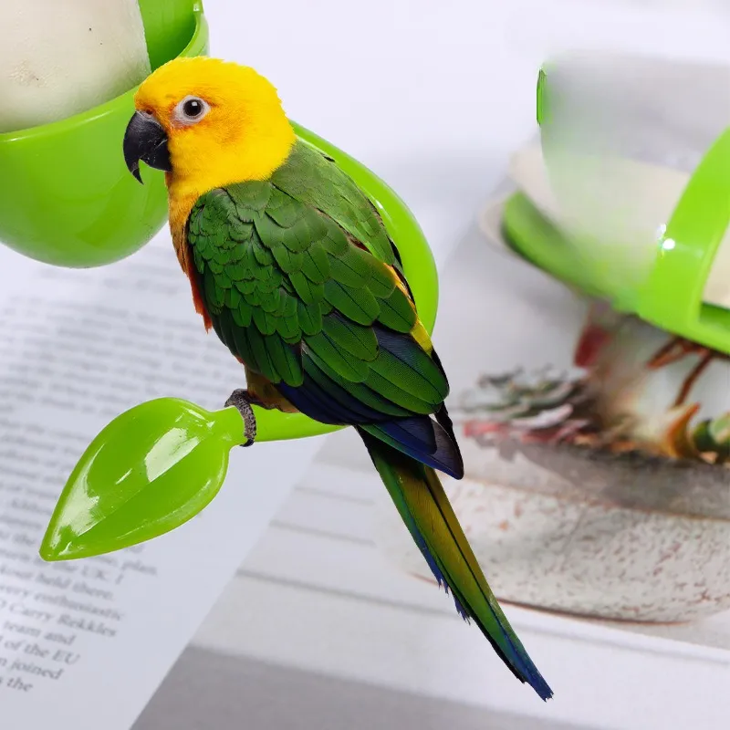 Mangiatoia Automatica Per Uccelli - 2 Pezzi Con Dispenser Cibo/Acqua Per Pappagalli - Foto 8