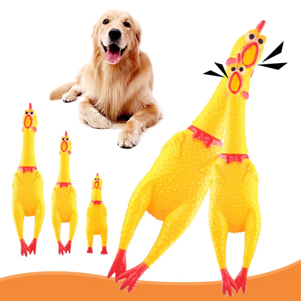 Rubber chicken for dogs on sale