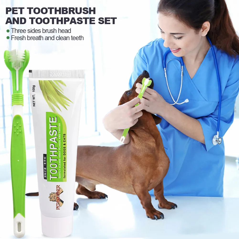 Cat toothbrush and toothpaste online