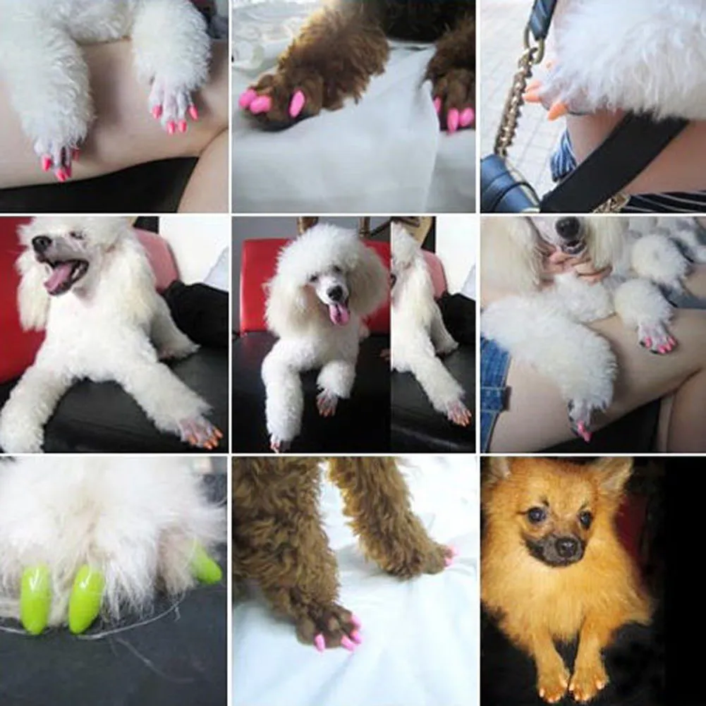 Silicone dog nail covers shop