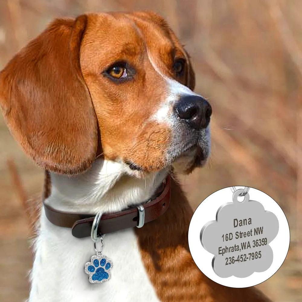 Glitter Paw Dog Id Tag Personalized Engraved Pet Nameplate Anti Photo Inspiration