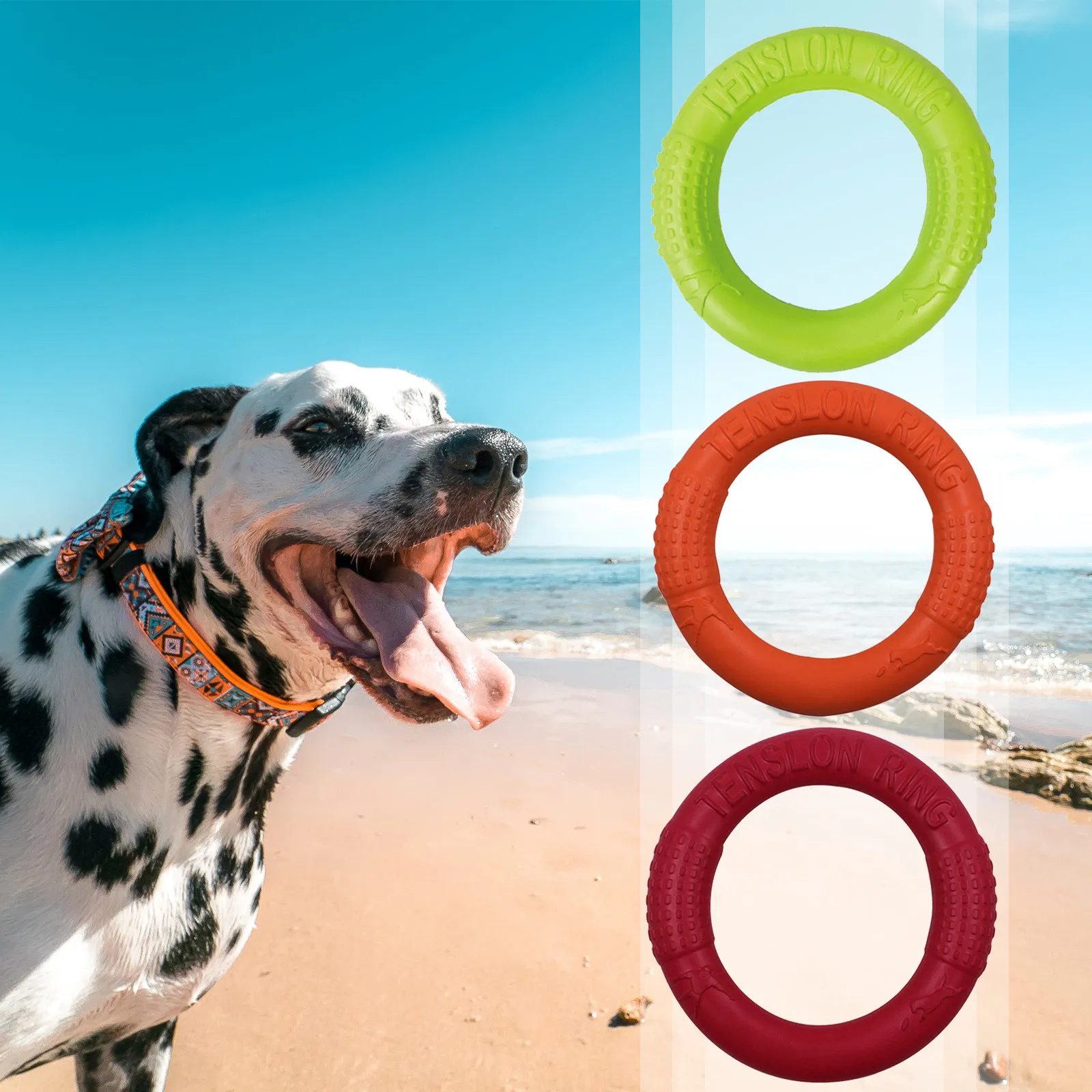 Beach toys for dogs sales