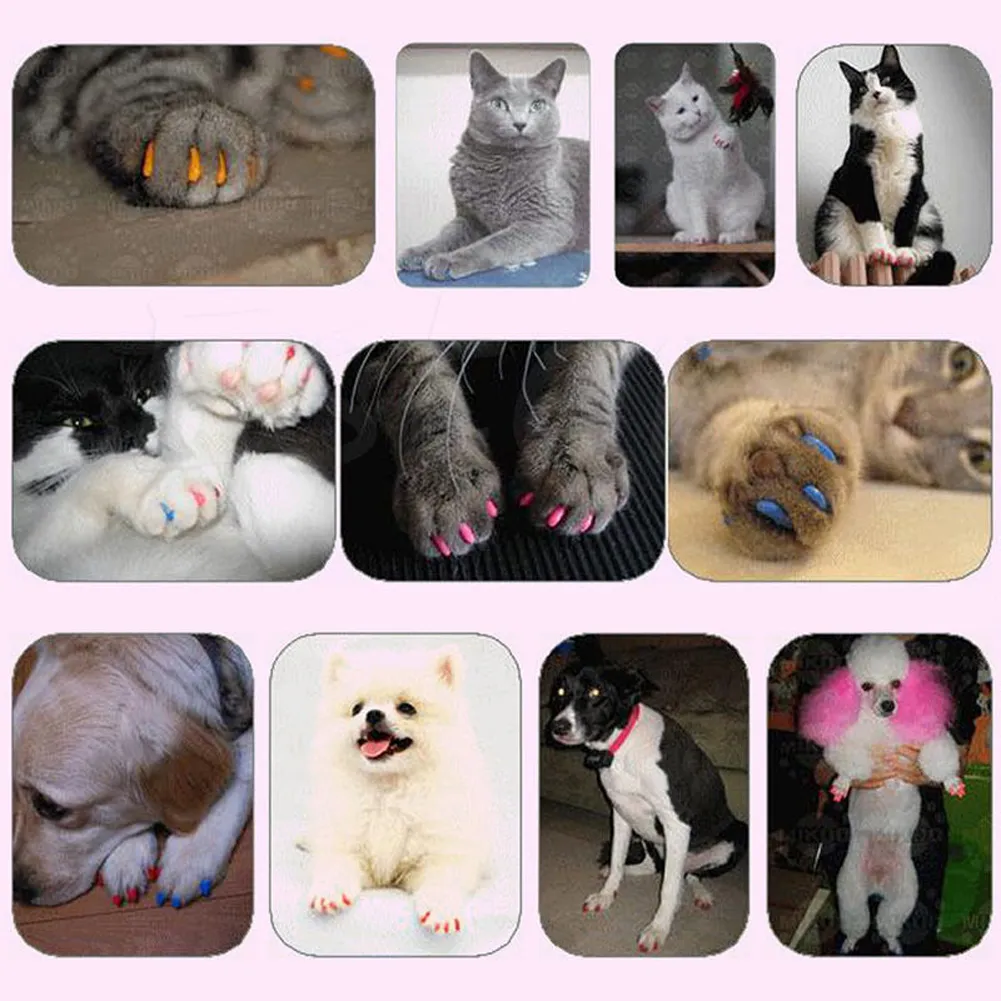 Colorful Cat Dog Nail Caps Soft Silicone Claw Covers Safe Protective Pet Accessories Sizes XS L From Homepro19 4.18 DHgate.Com