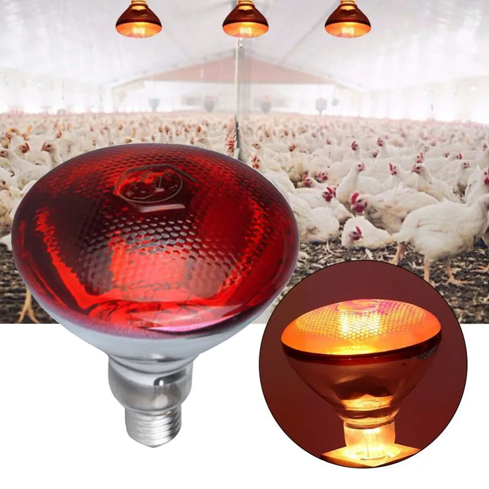 GlowUp Chicken Coop Heater, 275W Heat Lamp, Dimmable Heating
