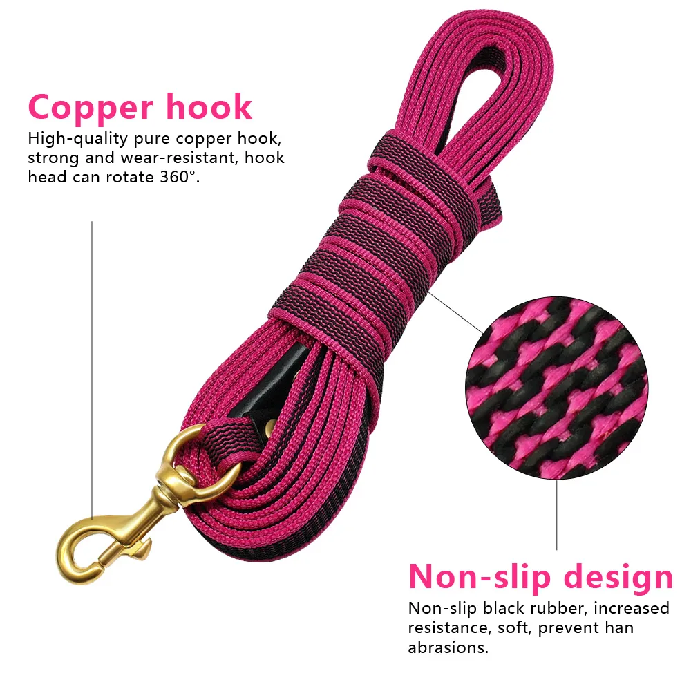 5m dog training lead store
