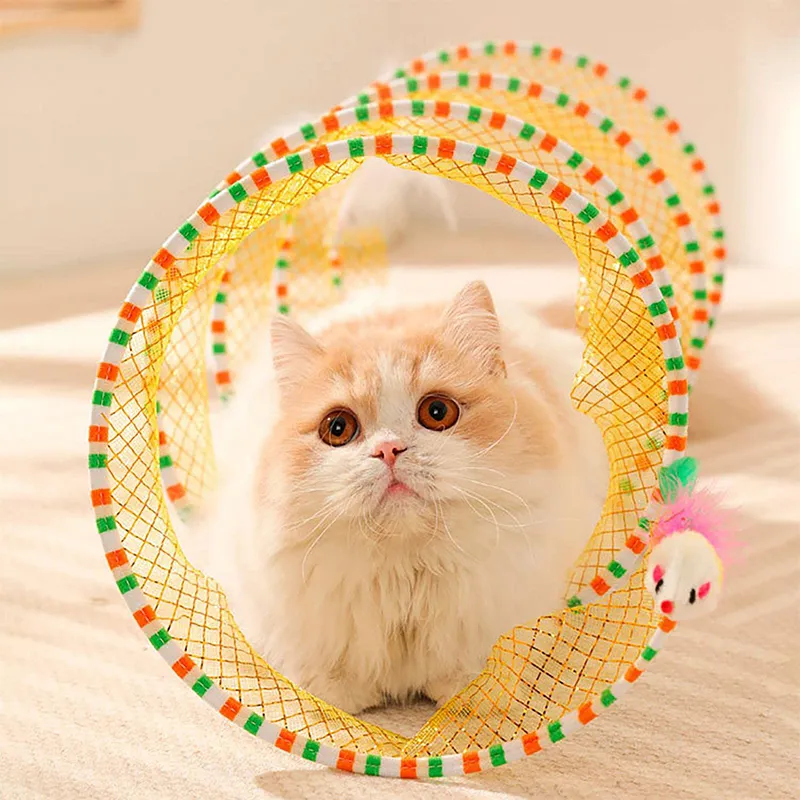 Cat tunnel toy shop