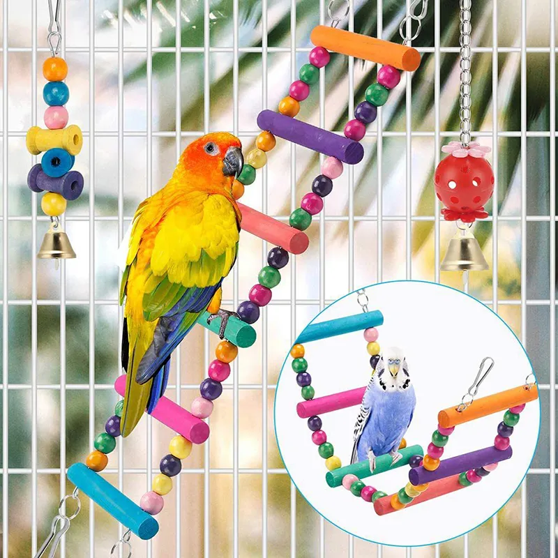 Parrot in cage toy shop