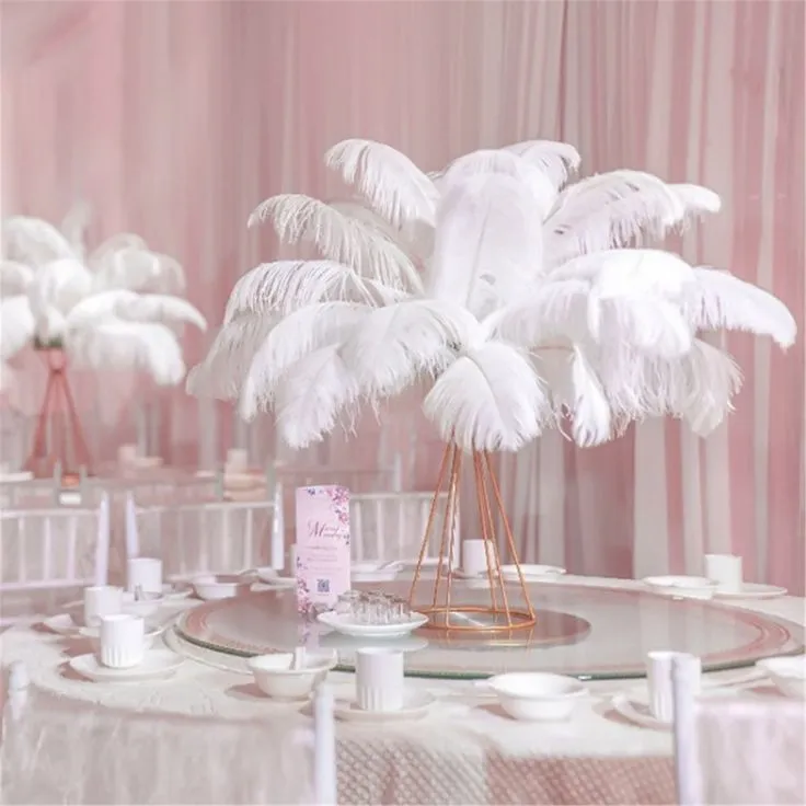 Plumes D'autruche Naturelles - Lot De 12 (25-30 Cm) Pour Déco, Mariage, Attrape-rêves