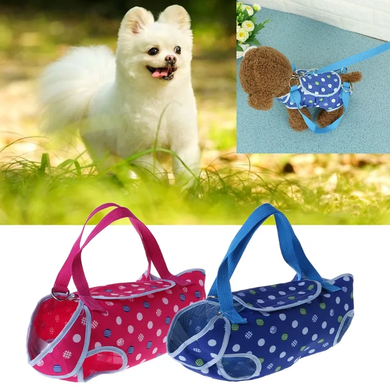 Shih tzu dog carrier 2025