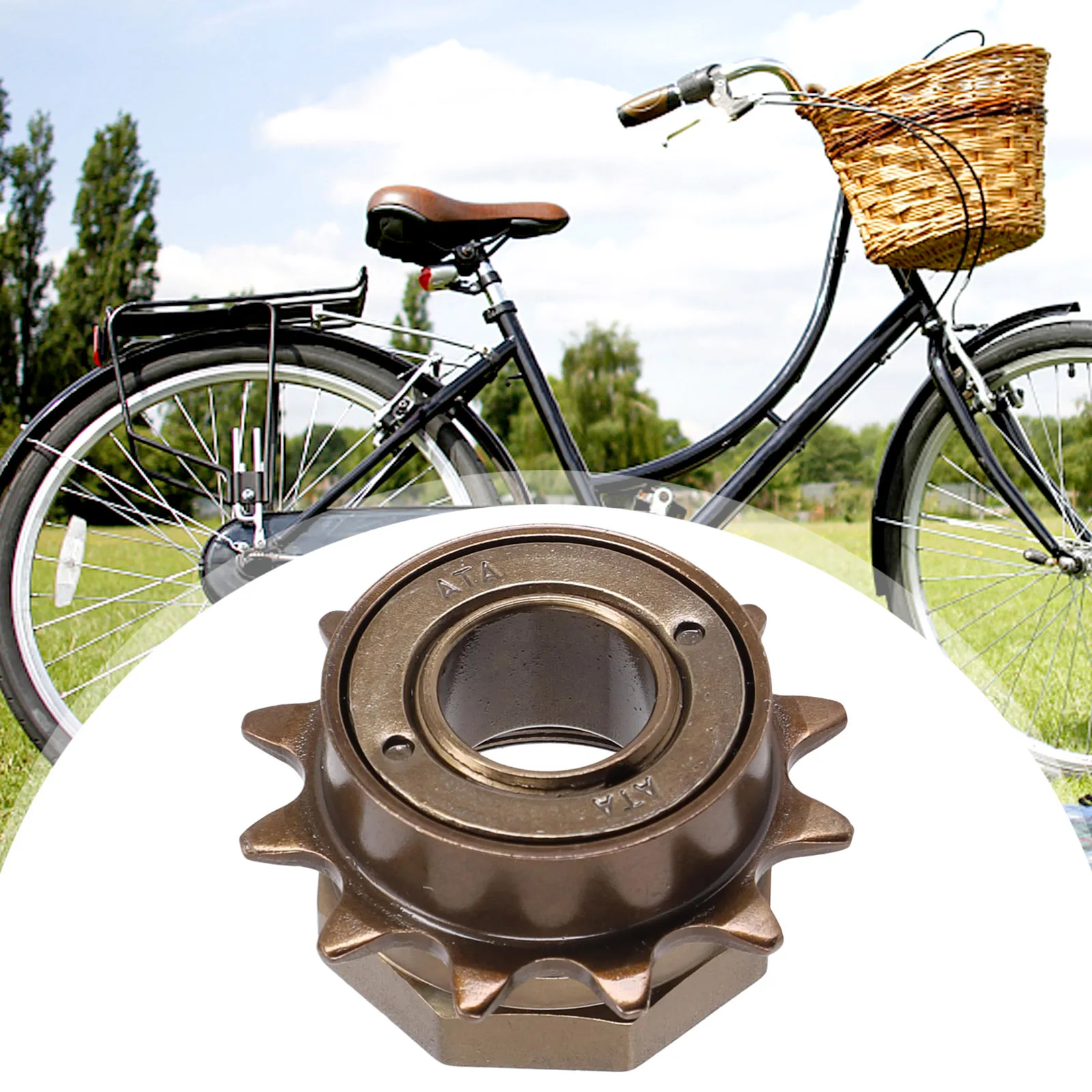 Freewheel 12t store