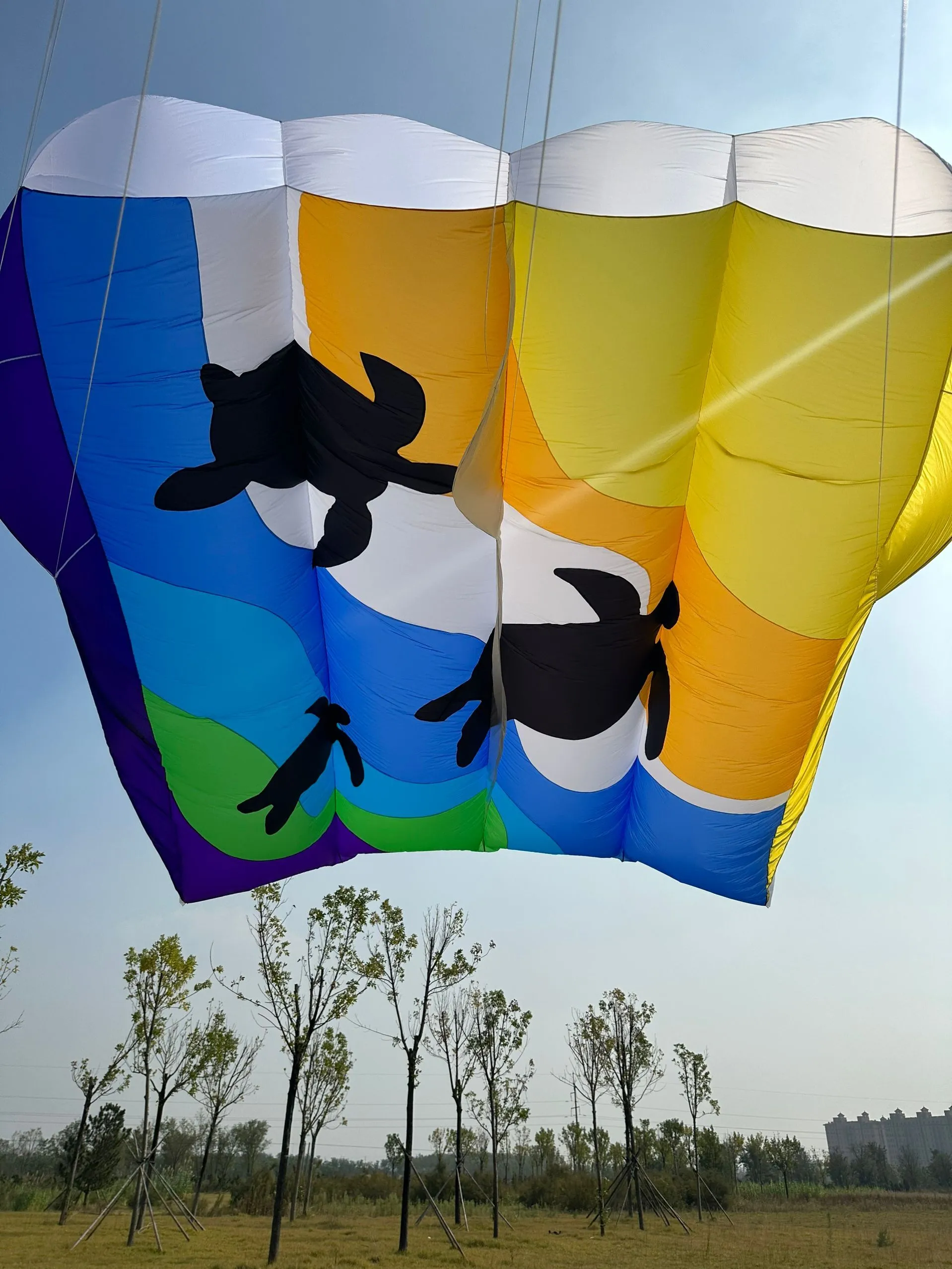 【関税込み】Isa Boulder レッド Kite スリーブ Big Kites: Inflatable Pilot Kite 12sq.M To 36sq.M Ripstop