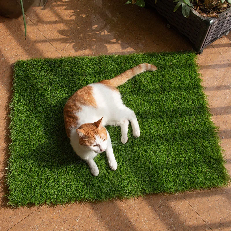 Cat grass litter box new arrivals
