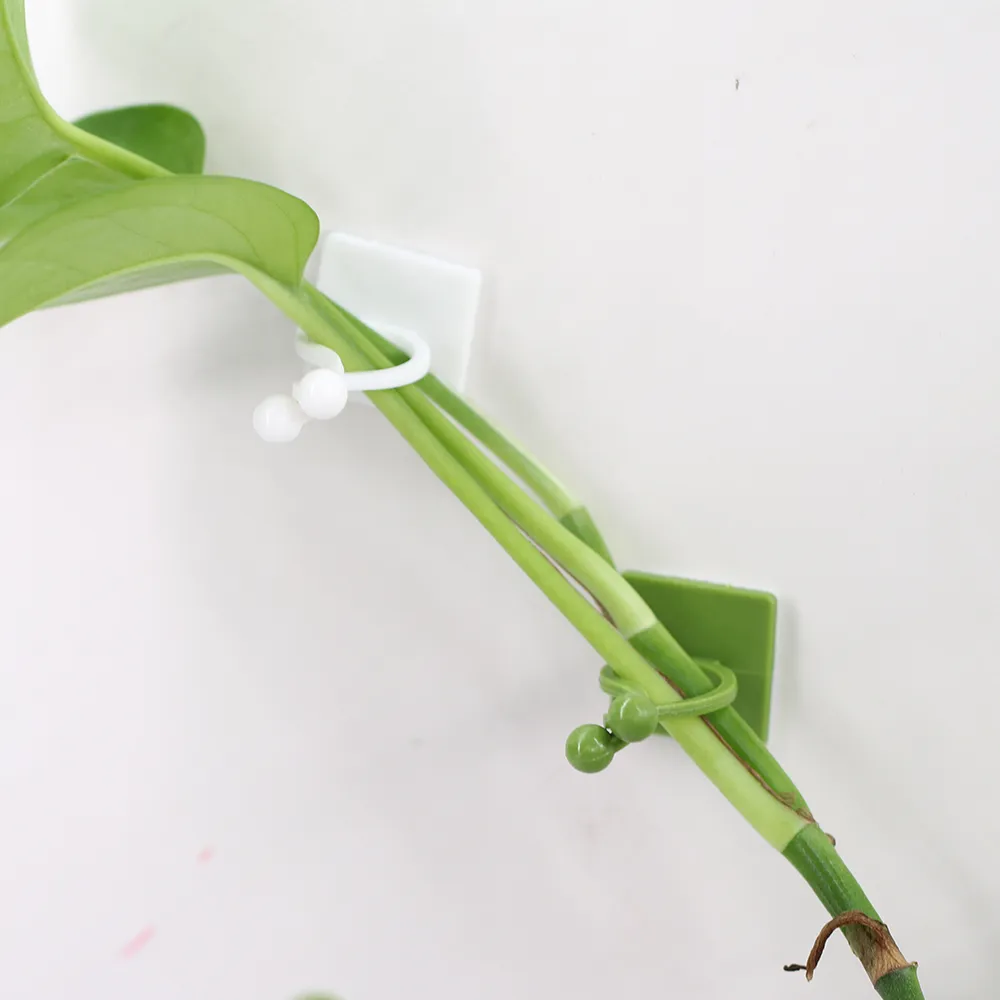 8-Plastic Self-Adhesive Vine Fixture Clamp Clips for Climbing Plant Stem  Support from Dhgate Other Building Supplies - price 4.39