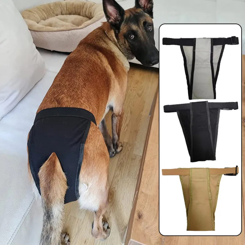 DHgate Dog Menstrual Pants 3 Pack Washable Dog Diapers with Sanitary Pads for Female Dogs Pet Supplies