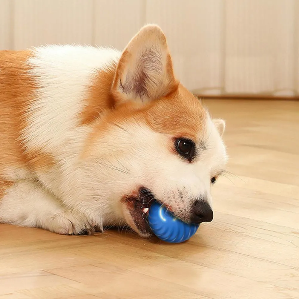 Jumping dog toy top