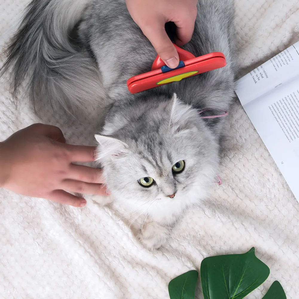 Dematting comb for cats petsmart sales