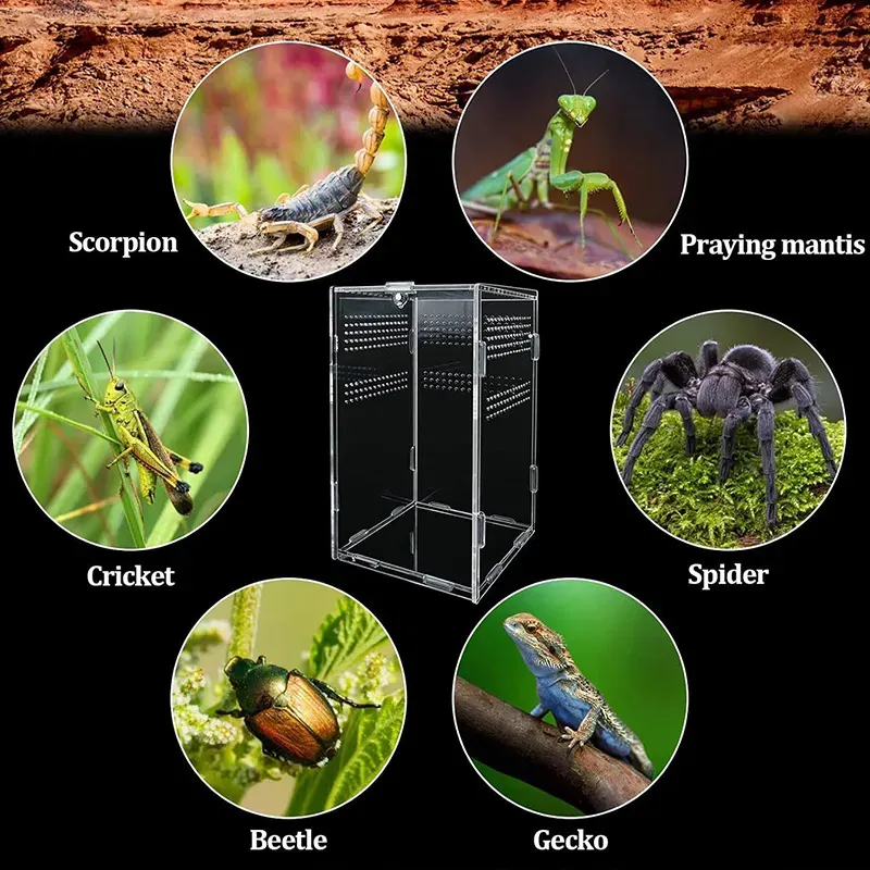 Tarantula Box Acrylic Reptile Terrarium Breeding Box Clear View Enclosure For ...