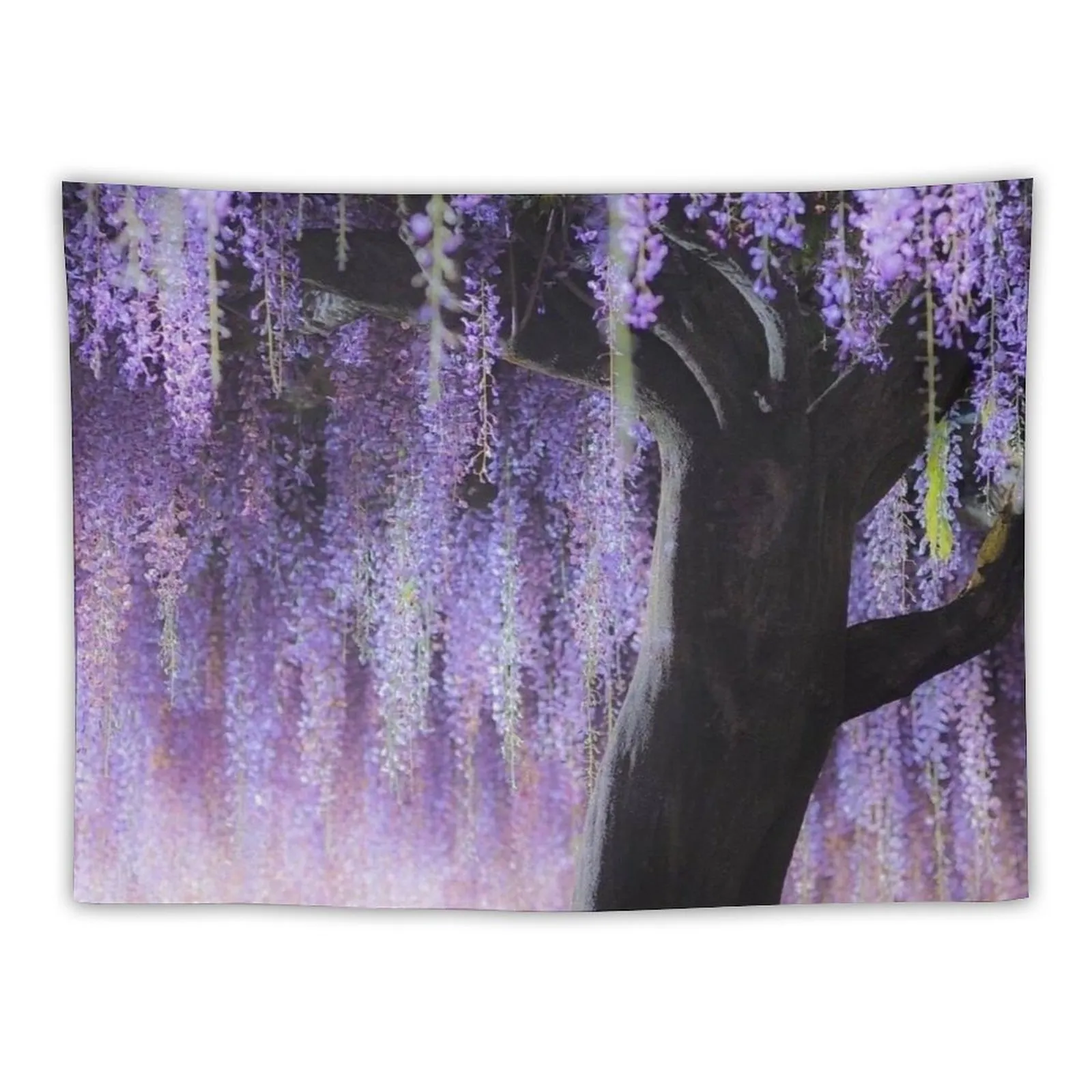 Purple Lilac Wisteria Willow Tree Tapestry 100% Polyester Bedroom Wall  Decoration from Dhgate Tapestries - price 16.73