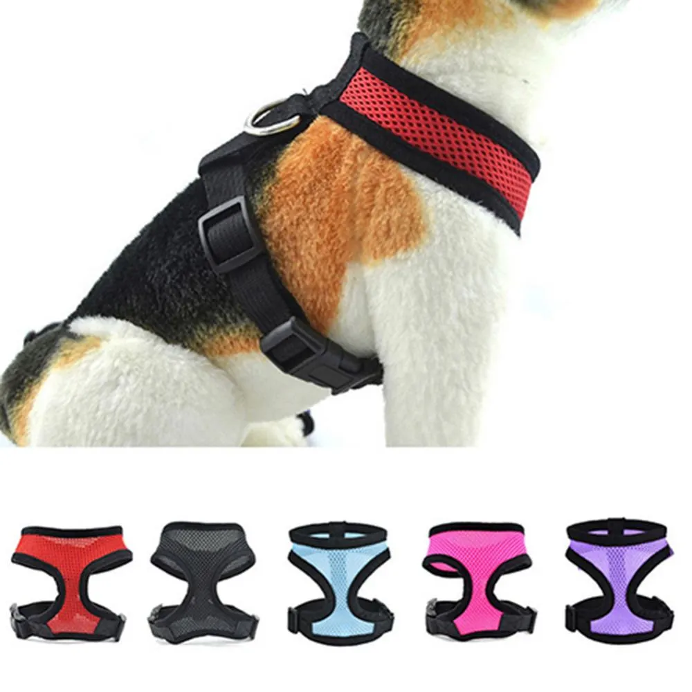 thumbnail interactive-video image 1 of No-Pull Soft Vest Harness With Leash For Dogs & Cats – Adjustable, Padded, Mesh, Sizes S-XL, Includes Collar 1 of 3