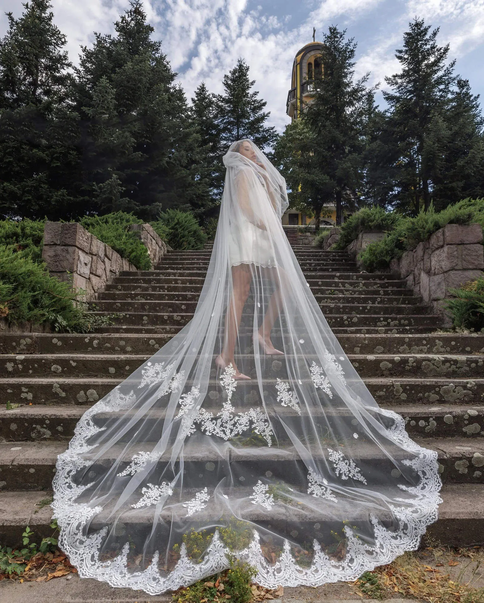 3.5M Cathedral-Length Lace Edge Wedding Veil in Ivory Luxury Long Bridal Veil Lace Wedding Veil Bridal Evening  main image 3