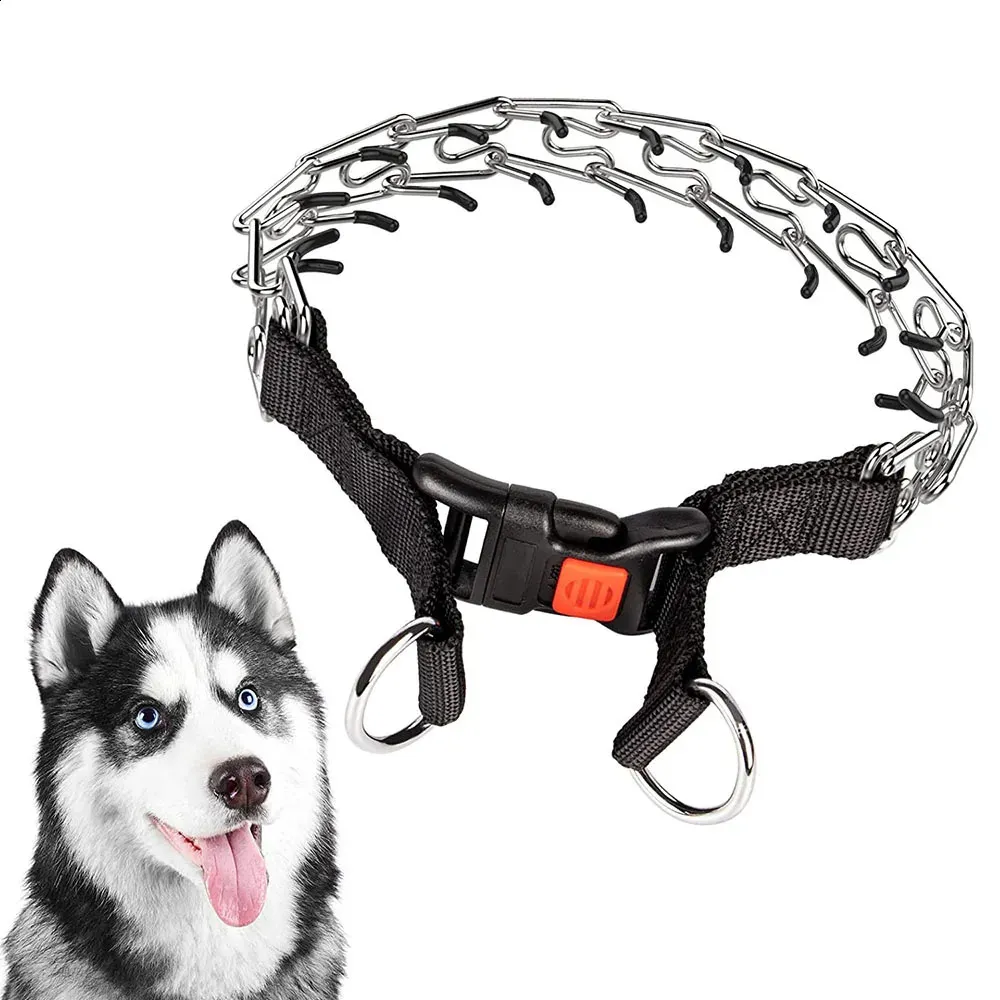 Prong Collar Petsmart Collars And Leashes German Shepherd Prong
