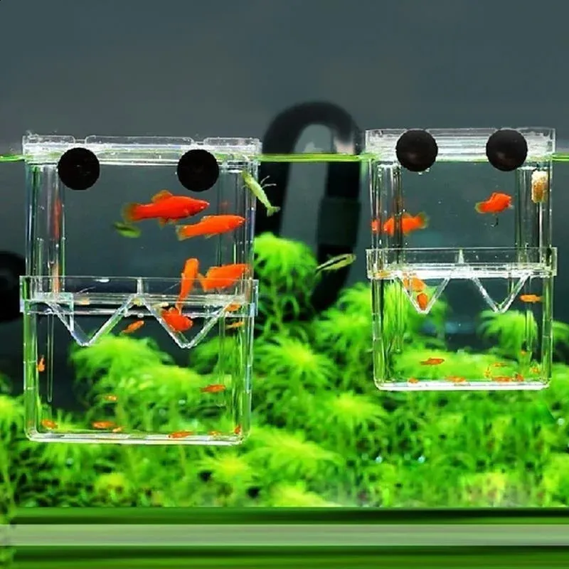Meidiya Fish Breeding Box,Acrylic Fish Isolation Box With Suction Cups Aquarium Acclimation Hatchery Incubator Baby Fishes Shrimp Clownfish Guppy Supplies