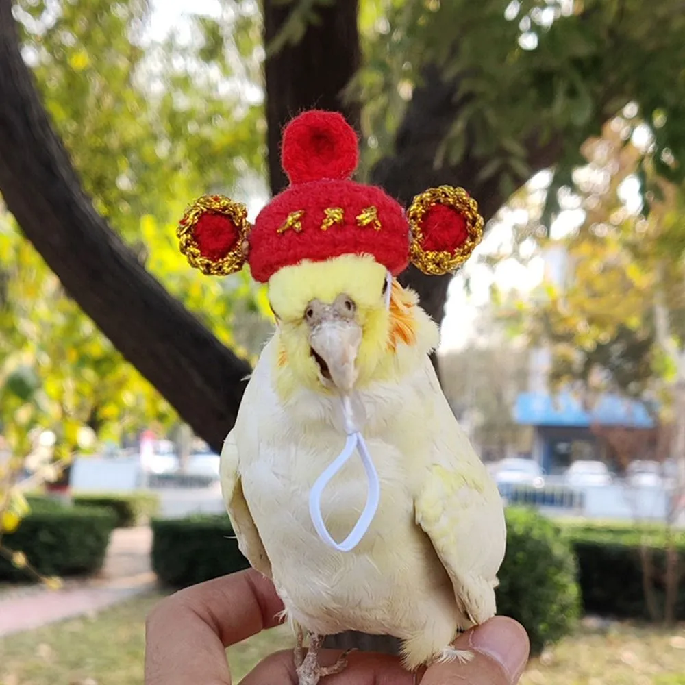Hat Cockatiel Cute Kitten Hat Hamster Hat With Adjustable Strap