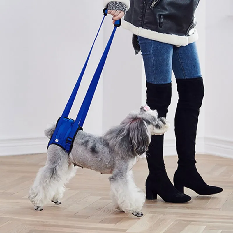Dog Lift Support Harness - Rear Leg Sling For Senior Injured Dogs After Surgery