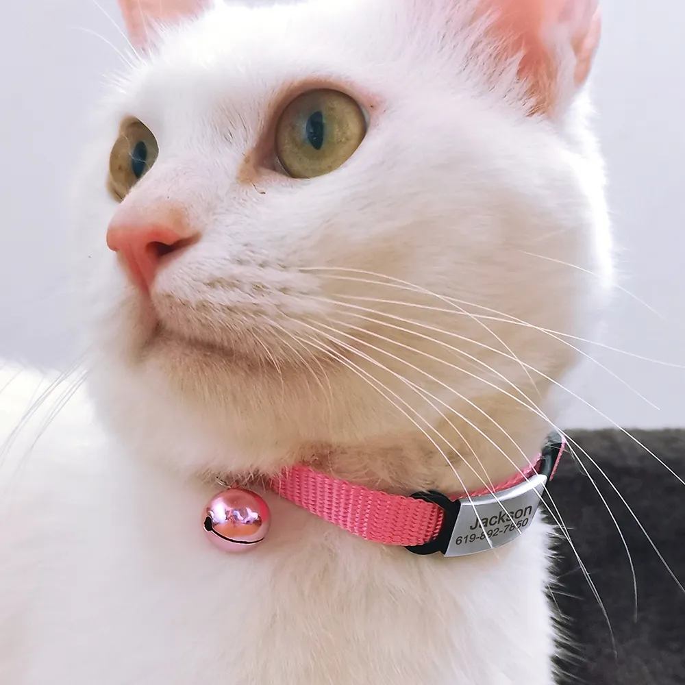 Unbranded Cat Collars & Tags With Bell Personalized Breakaway Cat Collar With Bell & Engraved Name Tag – Adjustable Kitten Collar Personalized Cat Collar