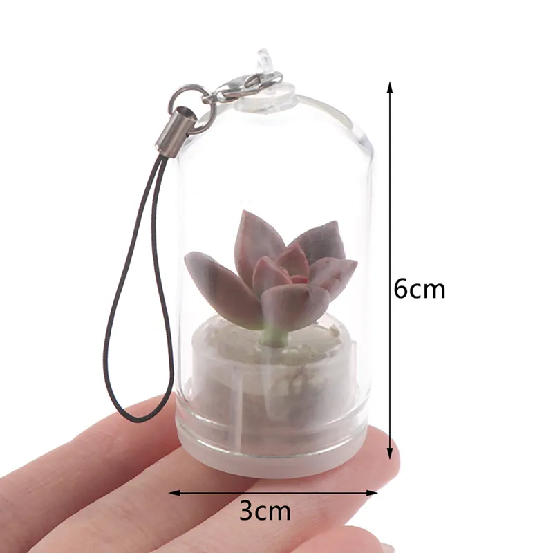 Cute Cactus Miniature Live Plant Wearable Necklace, Succulent