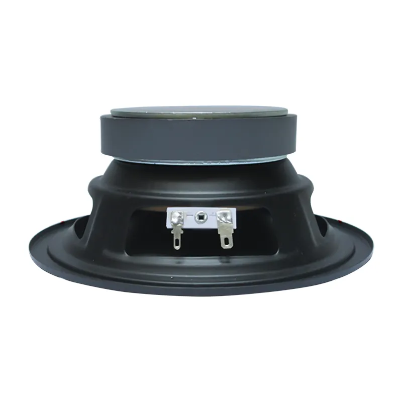 Inch Powered Subwoofer 60W HIFI Bass Speaker For Home